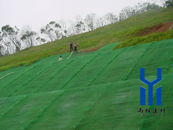 三維網(wǎng)墊http://m.qdcixiu.com.cn/dede_x