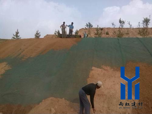 三維植被網(wǎng)http://m.qdcixiu.com.cn/