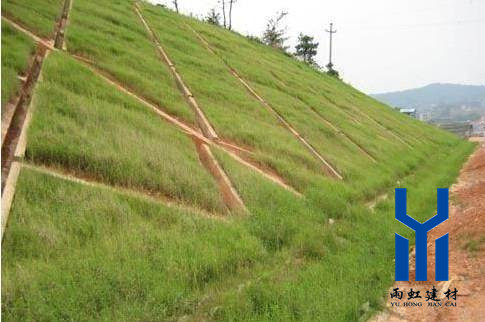 三維植被網(wǎng)http://m.qdcixiu.com.cn/